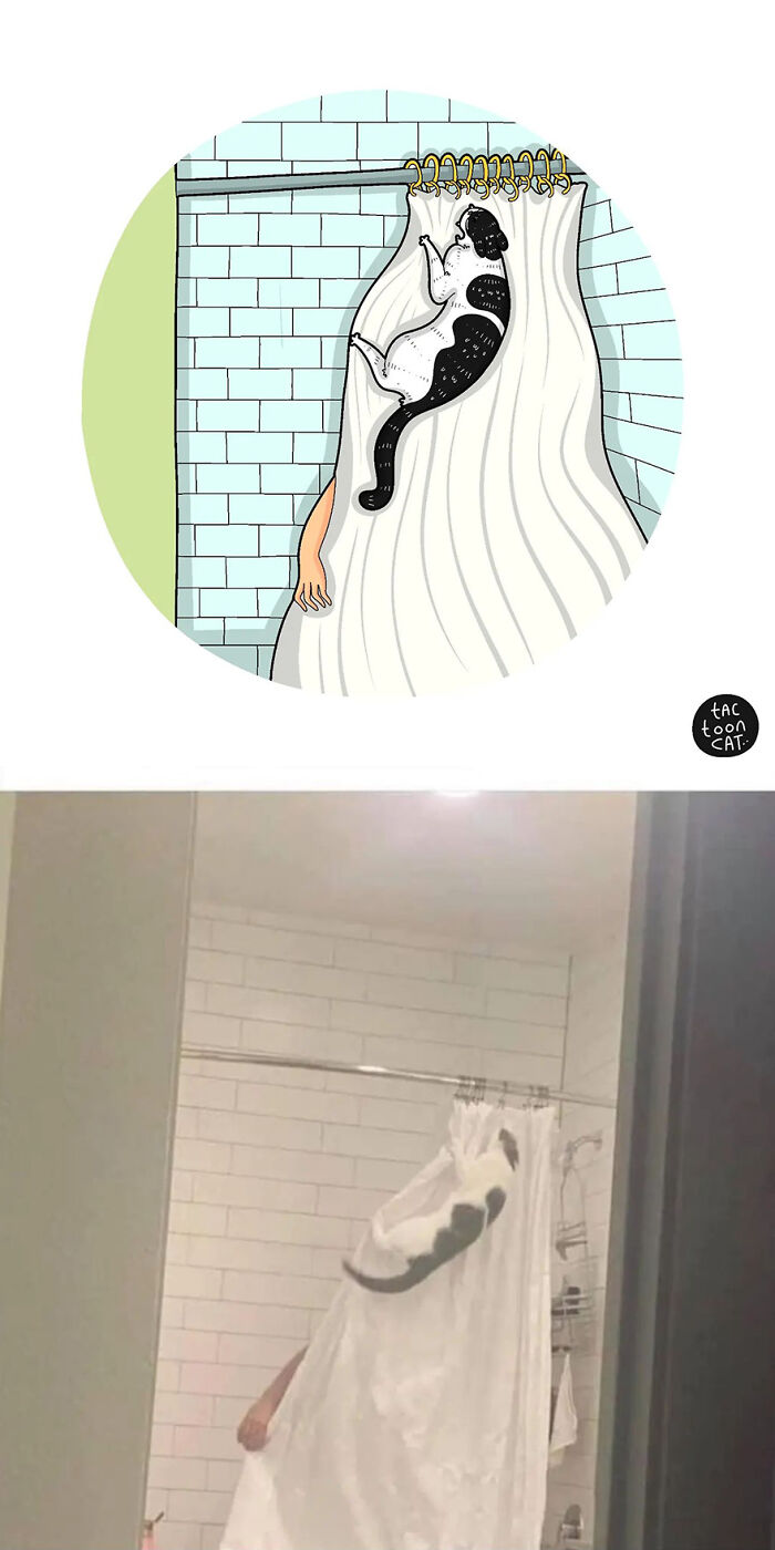 68 Of The Funniest Internet-Famous Cat Pics Get Illustrated By Tactooncat (New Pics)