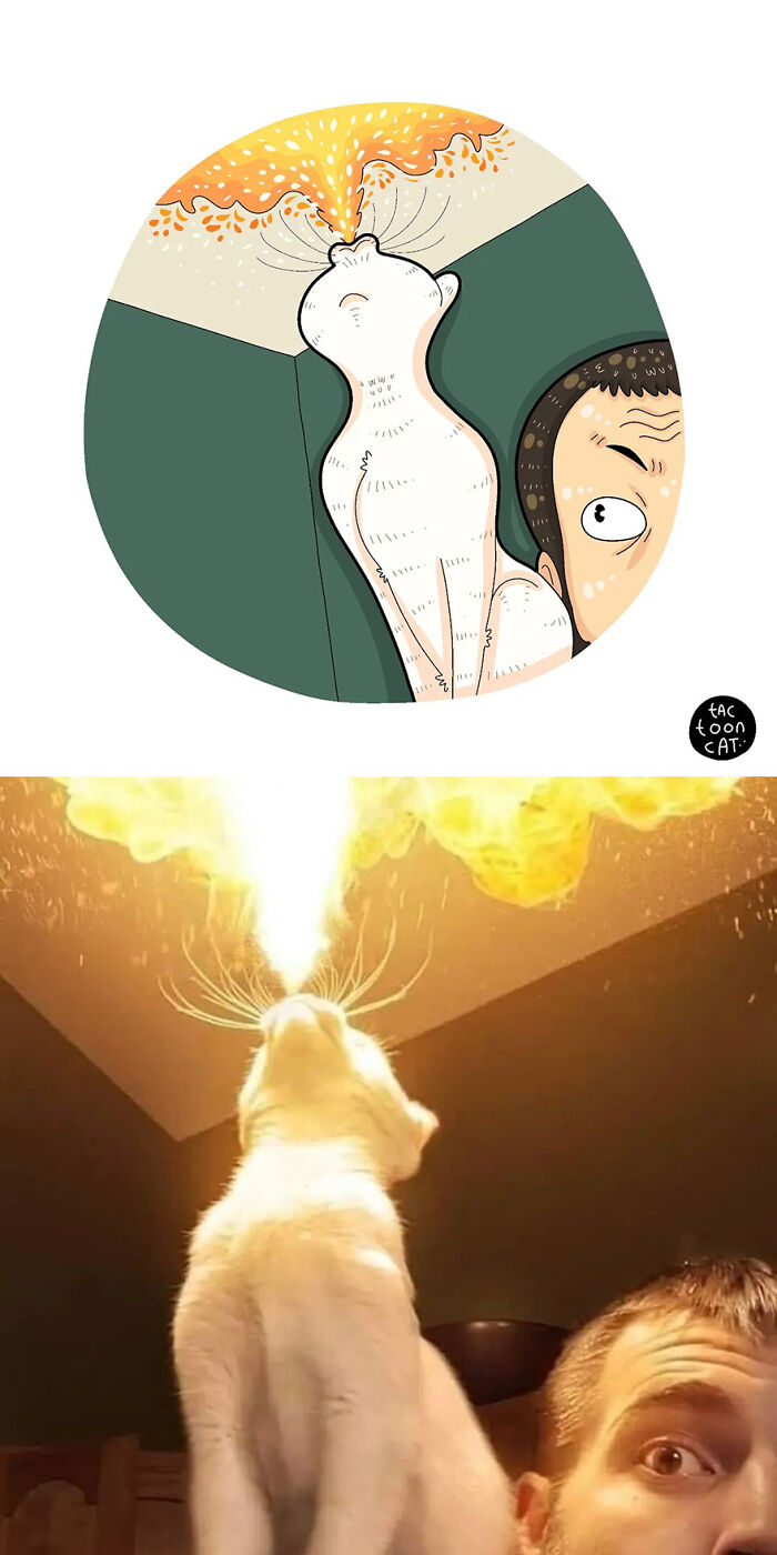 68 Of The Funniest Internet-Famous Cat Pics Get Illustrated By Tactooncat (New Pics)