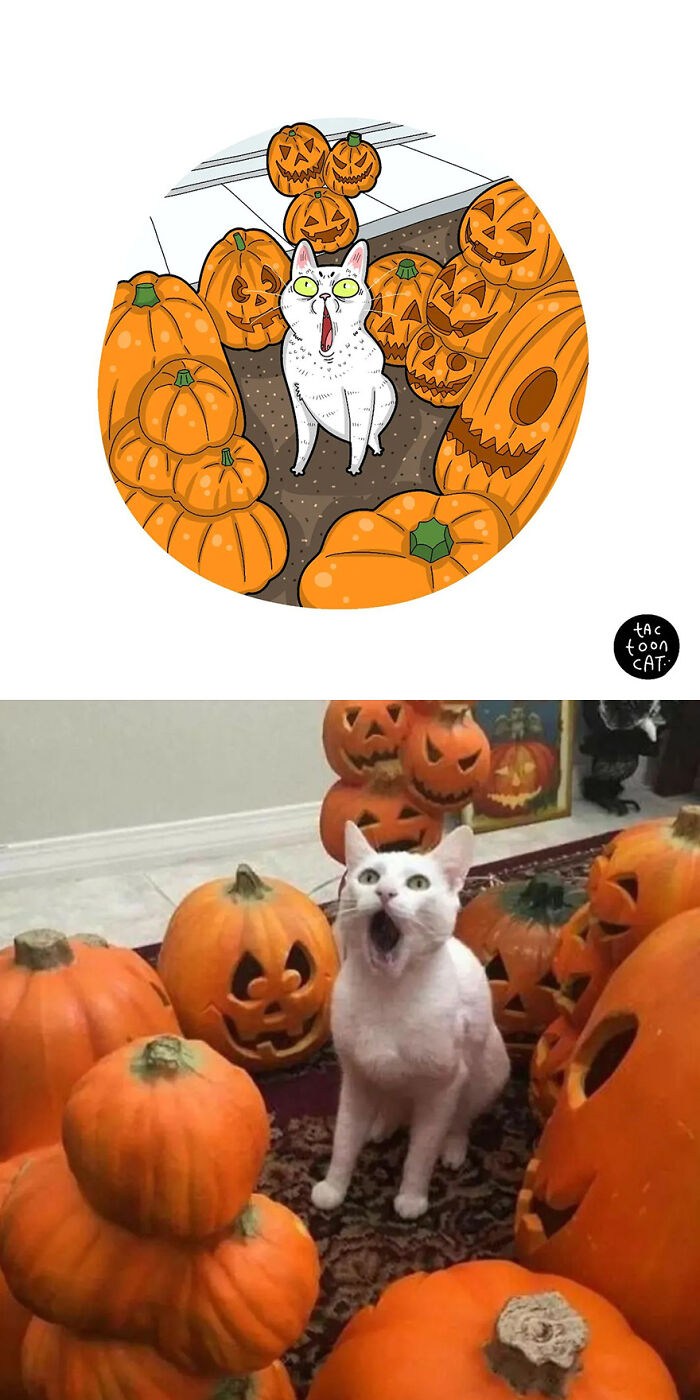 68 Of The Funniest Internet-Famous Cat Pics Get Illustrated By Tactooncat (New Pics)