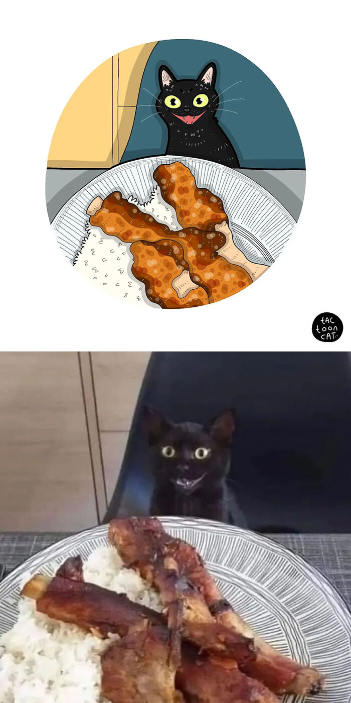 68 Of The Funniest Internet-Famous Cat Pics Get Illustrated By Tactooncat (New Pics)