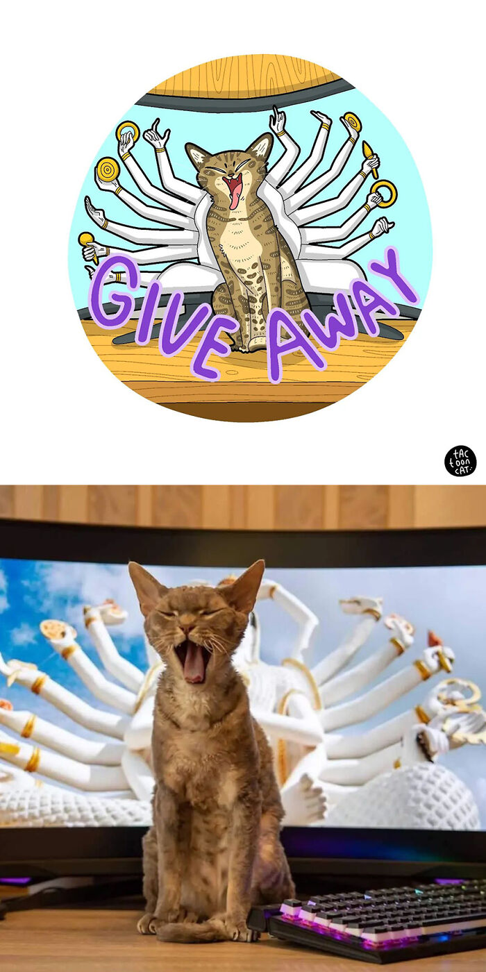 68 Of The Funniest Internet-Famous Cat Pics Get Illustrated By Tactooncat (New Pics)