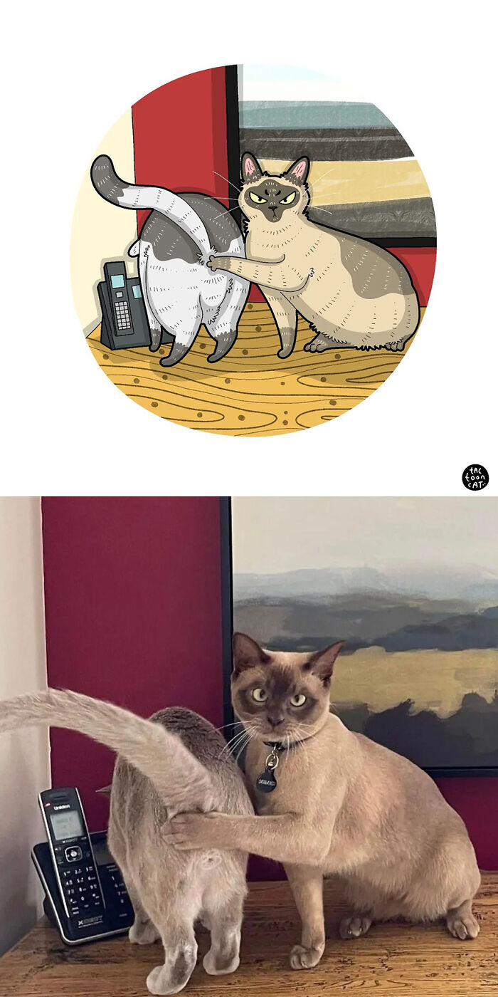 68 Of The Funniest Internet-Famous Cat Pics Get Illustrated By Tactooncat (New Pics)