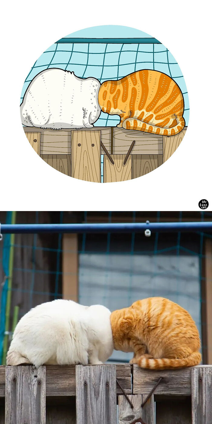 68 Of The Funniest Internet-Famous Cat Pics Get Illustrated By Tactooncat (New Pics)