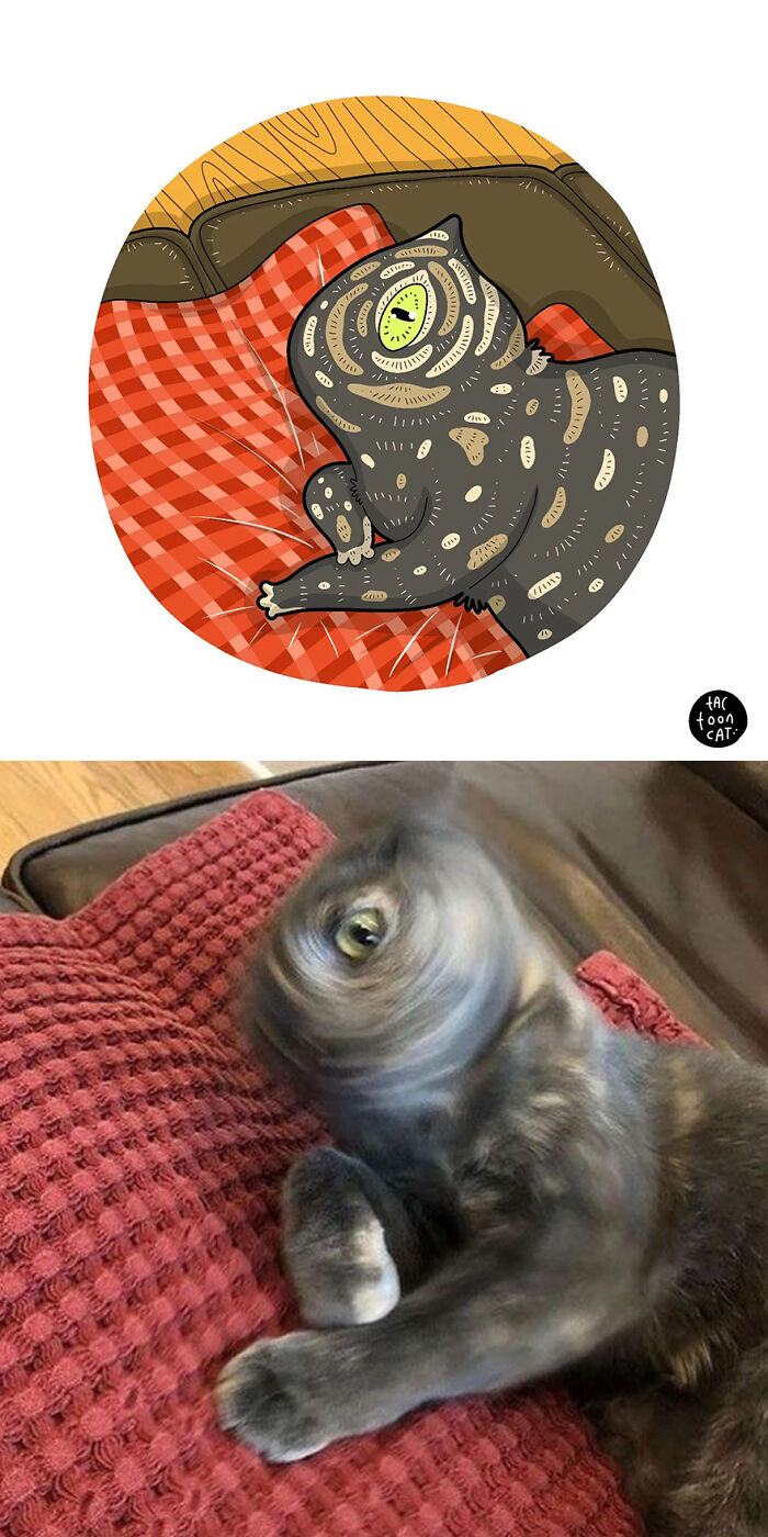 68 Of The Funniest Internet-Famous Cat Pics Get Illustrated By Tactooncat (New Pics)
