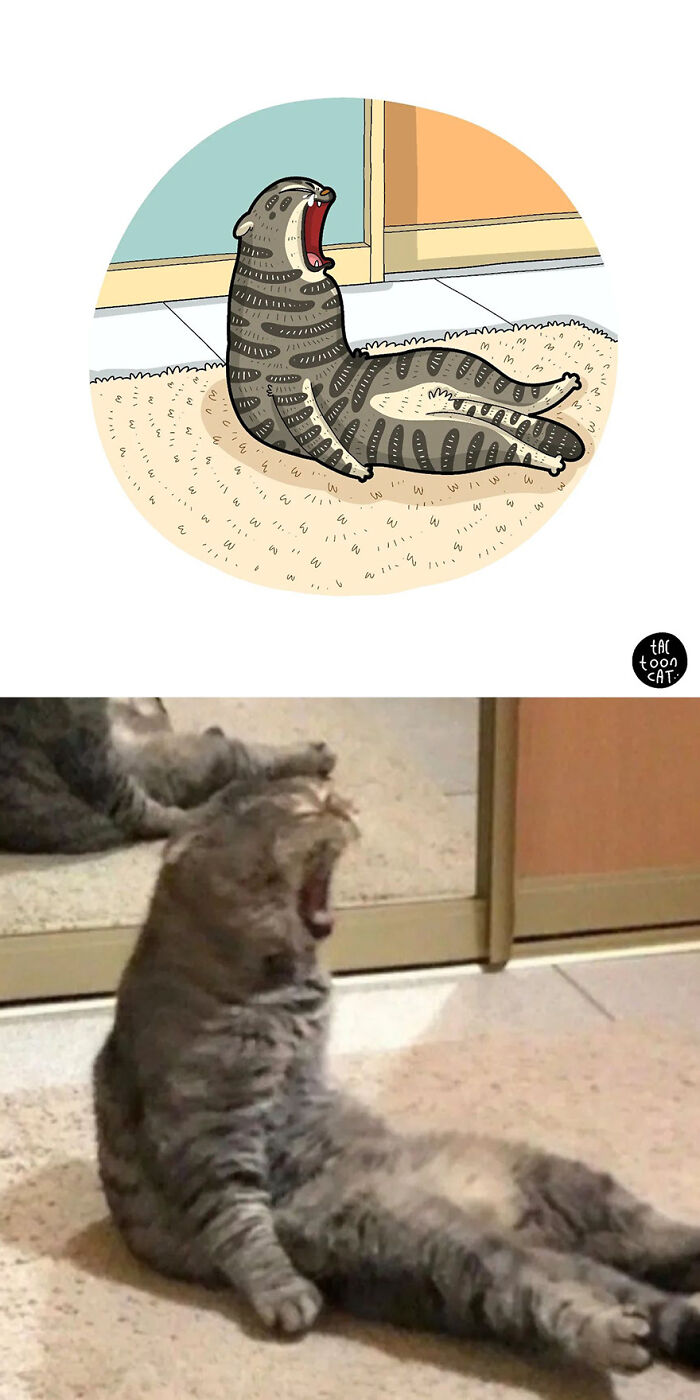 68 Of The Funniest Internet-Famous Cat Pics Get Illustrated By Tactooncat (New Pics)