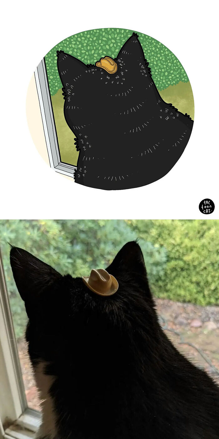 68 Of The Funniest Internet-Famous Cat Pics Get Illustrated By Tactooncat (New Pics)