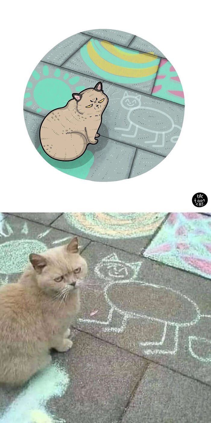68 Of The Funniest Internet-Famous Cat Pics Get Illustrated By Tactooncat (New Pics)