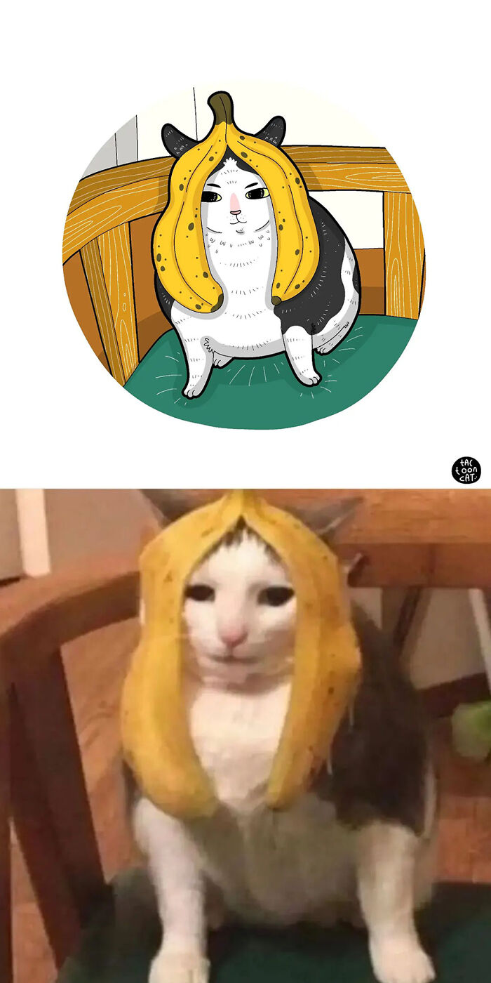 68 Of The Funniest Internet-Famous Cat Pics Get Illustrated By Tactooncat (New Pics)