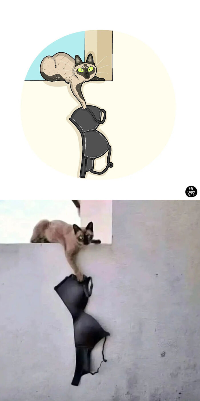 68 Of The Funniest Internet-Famous Cat Pics Get Illustrated By Tactooncat (New Pics)