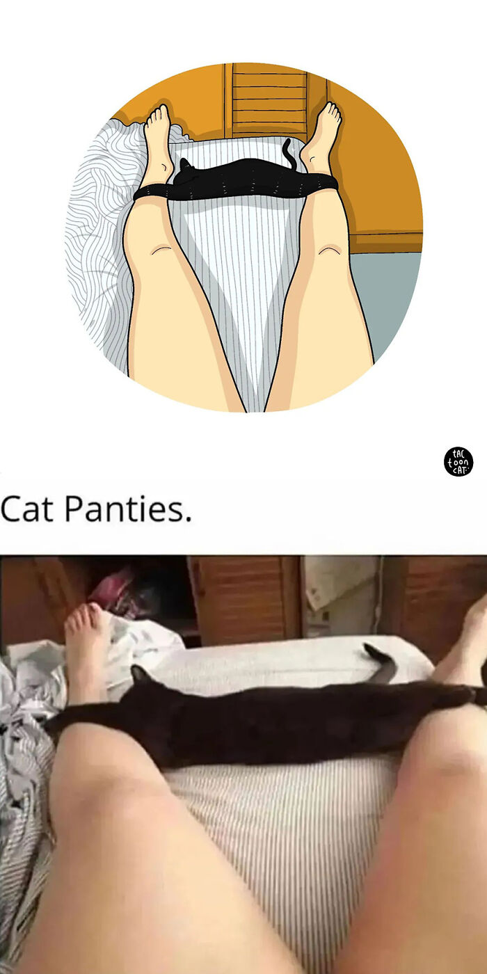68 Of The Funniest Internet-Famous Cat Pics Get Illustrated By Tactooncat (New Pics)