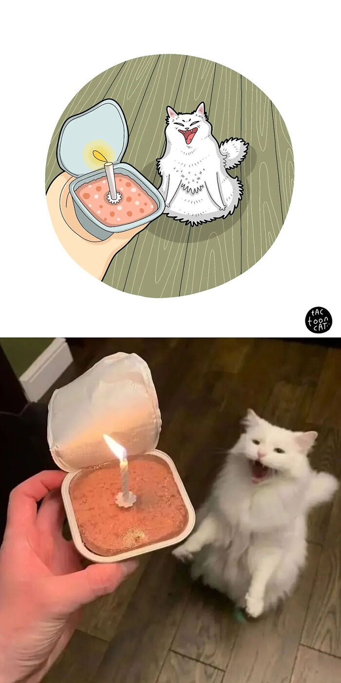 68 Of The Funniest Internet-Famous Cat Pics Get Illustrated By Tactooncat (New Pics)