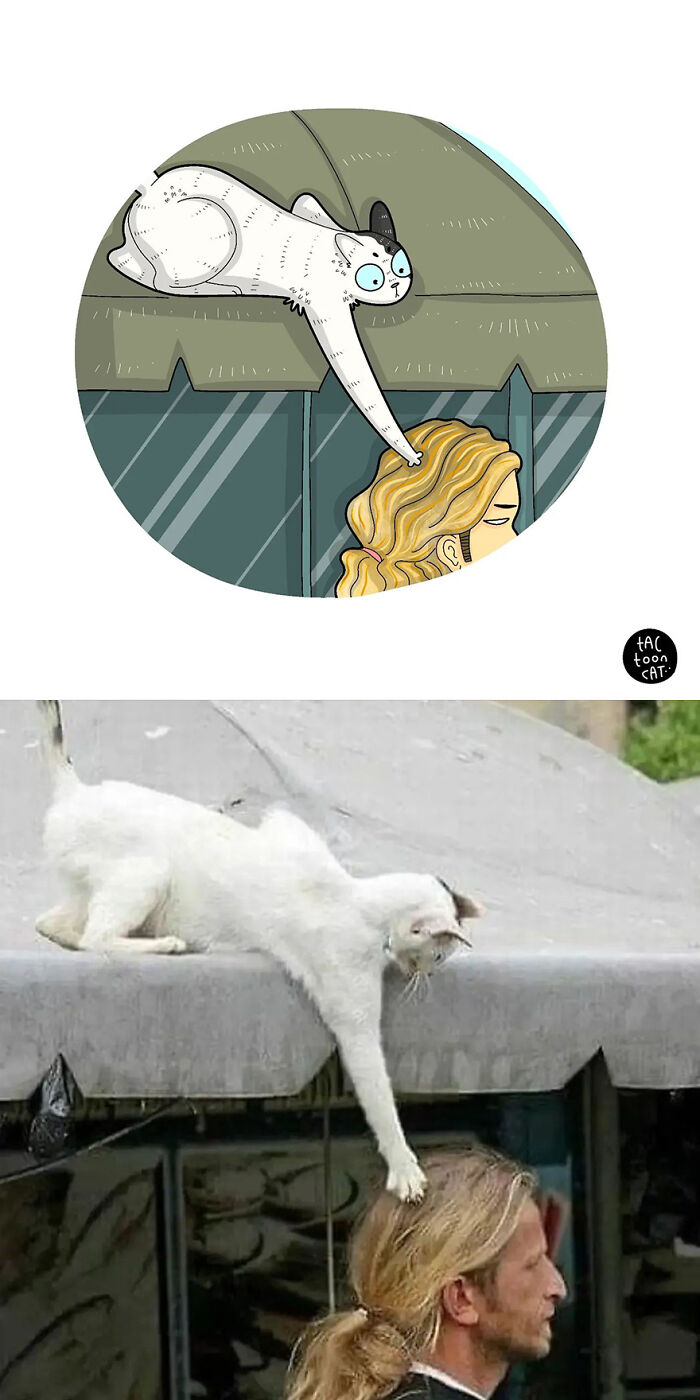 68 Of The Funniest Internet-Famous Cat Pics Get Illustrated By Tactooncat (New Pics)