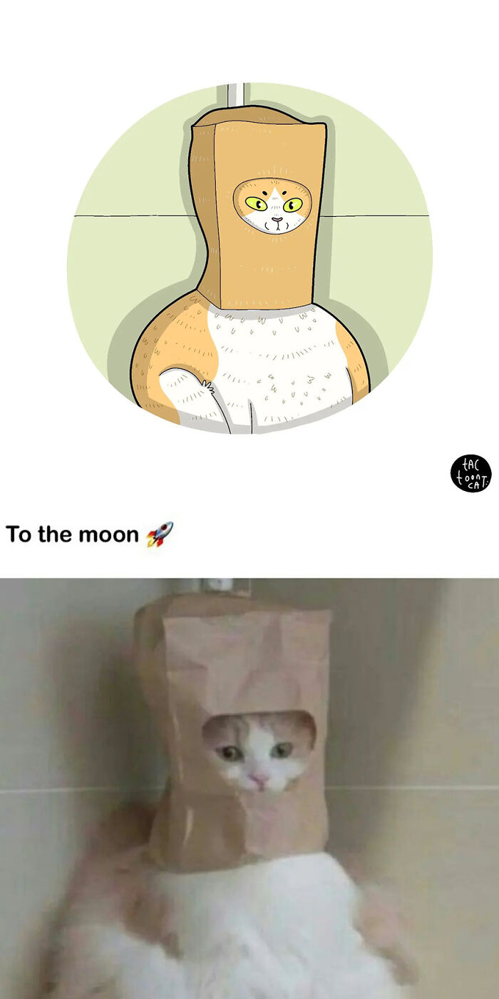 68 Of The Funniest Internet-Famous Cat Pics Get Illustrated By Tactooncat (New Pics)
