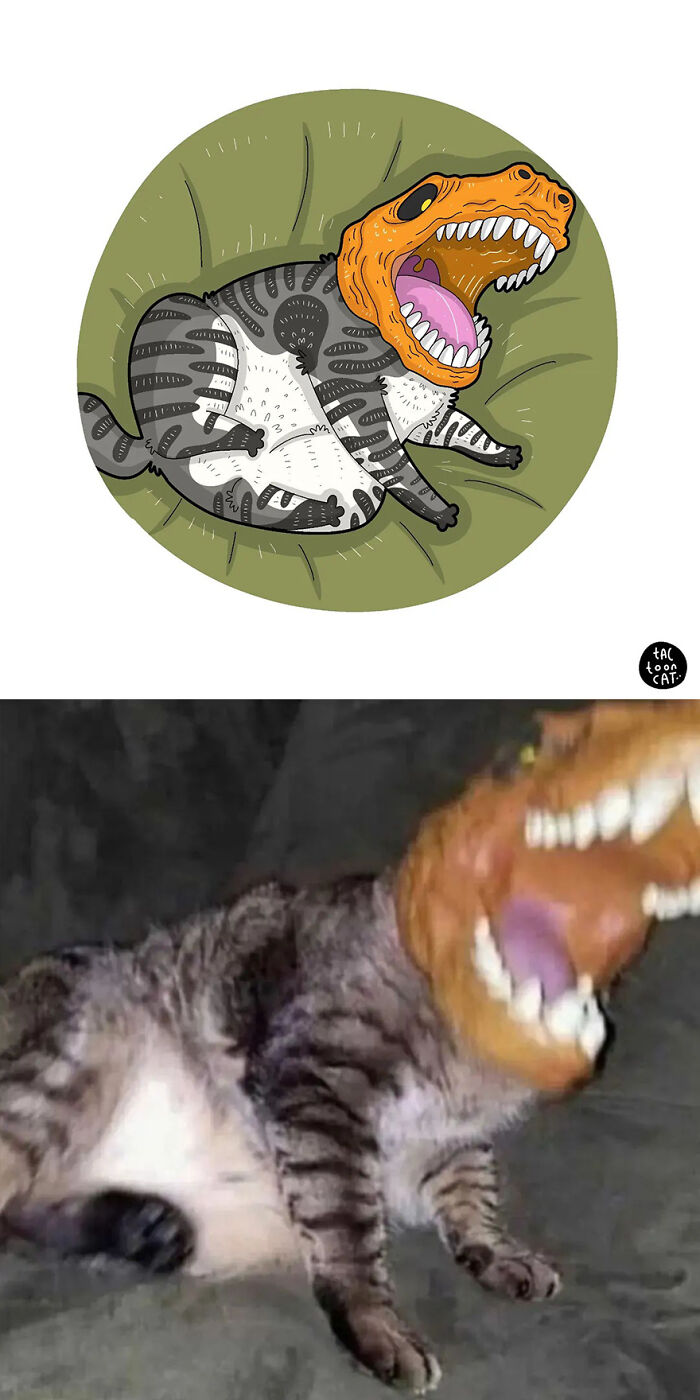 68 Of The Funniest Internet-Famous Cat Pics Get Illustrated By Tactooncat (New Pics)
