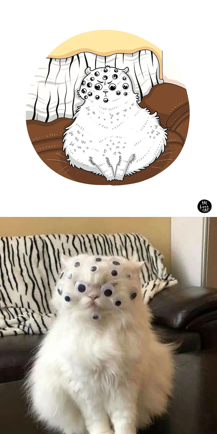 68 Of The Funniest Internet-Famous Cat Pics Get Illustrated By Tactooncat (New Pics)