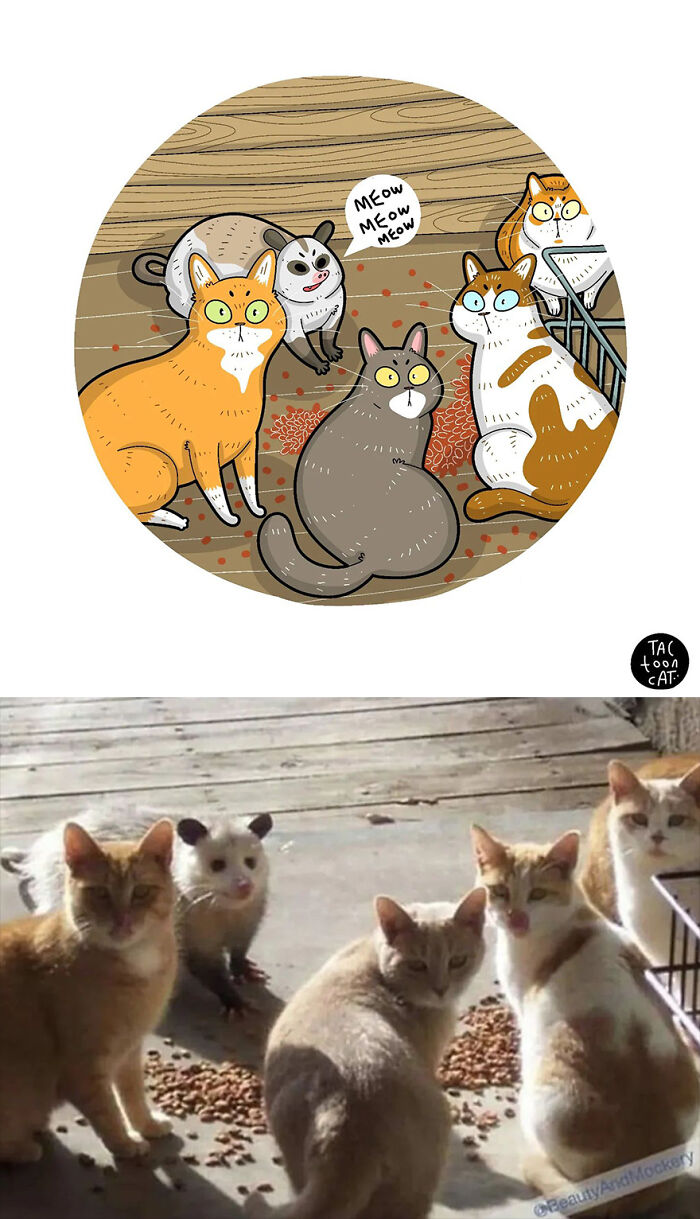 68 Of The Funniest Internet-Famous Cat Pics Get Illustrated By Tactooncat (New Pics)