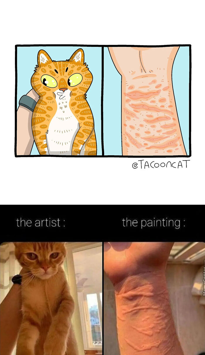 68 Of The Funniest Internet-Famous Cat Pics Get Illustrated By Tactooncat (New Pics)