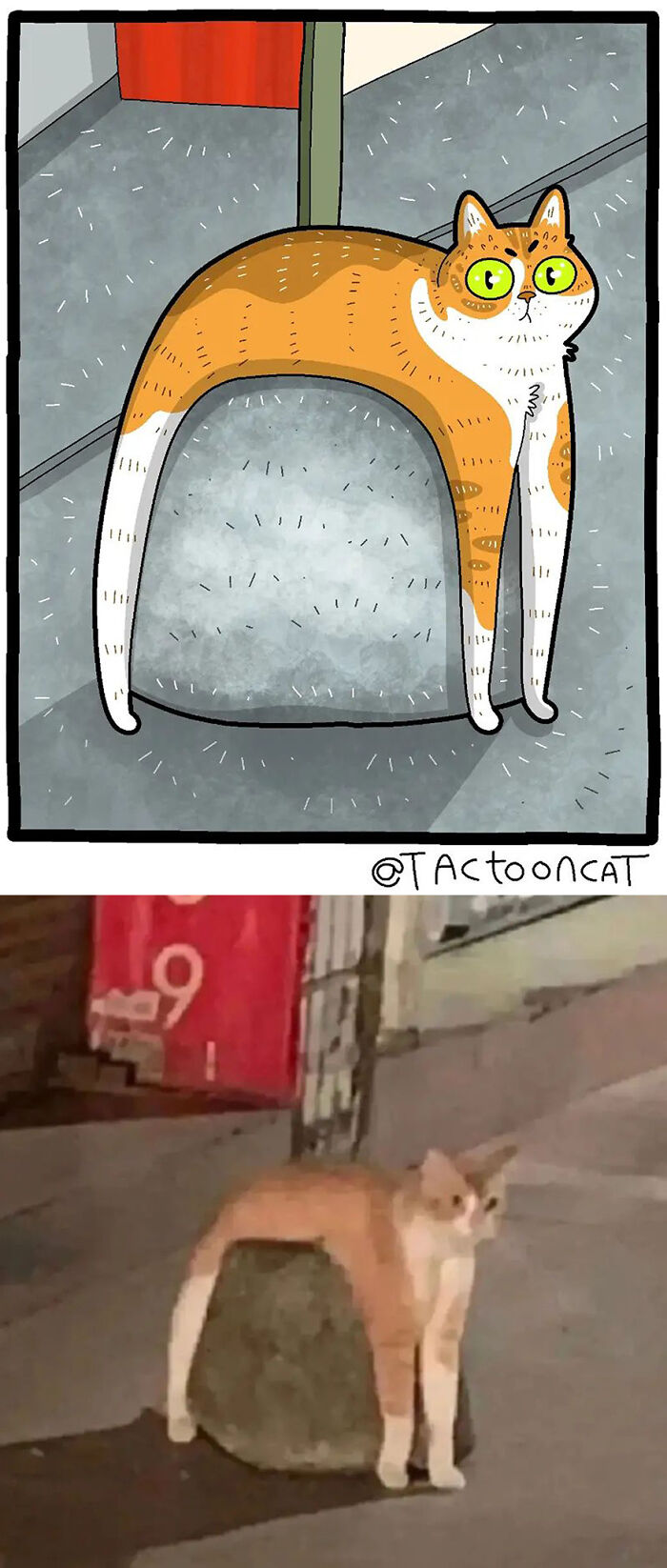68 Of The Funniest Internet-Famous Cat Pics Get Illustrated By Tactooncat (New Pics)