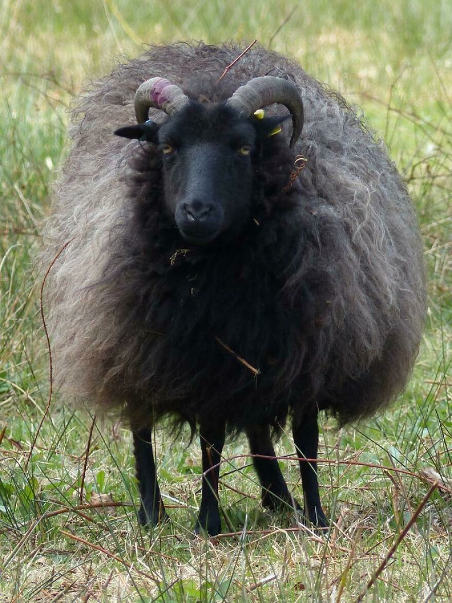 My Phone Photography Tips (33 Pics) My Phone Photography Tips (33 Pics)