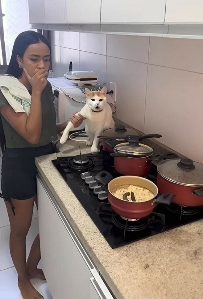 Important Animal Images (New Pics)