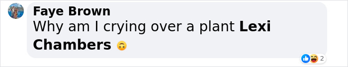 Xmas Lovers Praise John Lewis’ New Original Christmas Ad For Going Against The Flow Xmas Lovers Praise John Lewis’ New Original Christmas Ad For Going Against The Flow