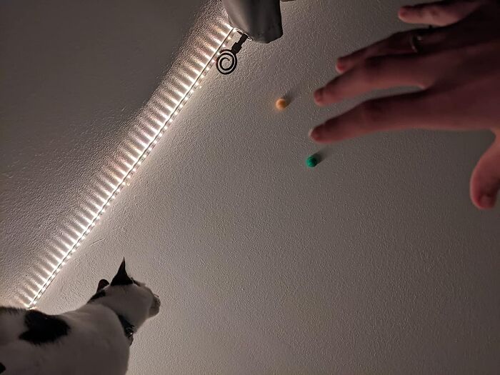 Squish, Stretch, And Unleash Creativity With The Mind-Bendingly Mesmerizing Crayola Globbles