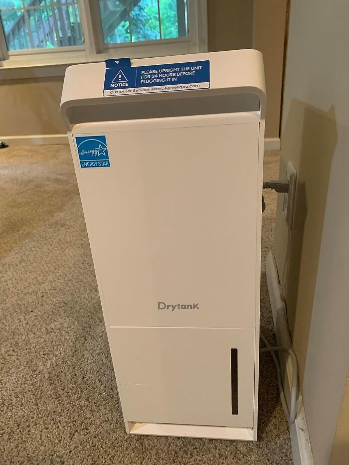 Wave Goodbye To Dampness With A Strong Dehumidifier - 'Moist' Should Only Describe Your Cake, Not Your Basement