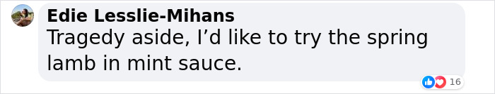 Comment about Titanic first-class menu, mentioning spring lamb in mint sauce.