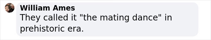 These Bats&rsquo; Tools Are Too Big To Reproduce Like Other Mammals, Scientists Find Out How They Do It