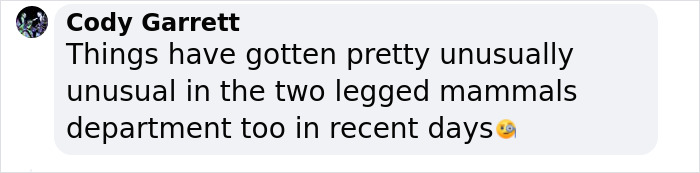 These Bats&rsquo; Tools Are Too Big To Reproduce Like Other Mammals, Scientists Find Out How They Do It