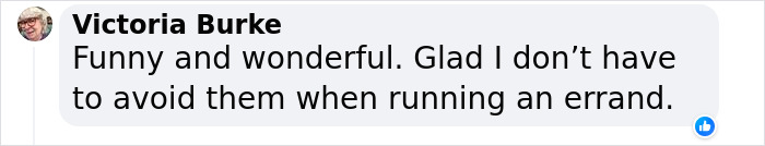 Scientists Bring Wooly Rhinoceros Back To Life With The Help of Prehistoric Fecal Matter