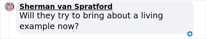 Scientists Bring Wooly Rhinoceros Back To Life With The Help of Prehistoric Fecal Matter