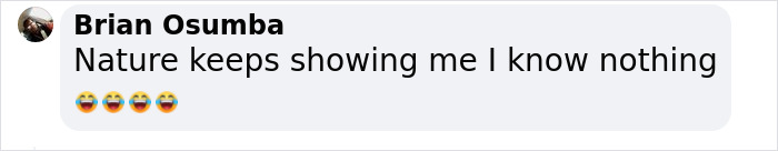 These Bats&rsquo; Tools Are Too Big To Reproduce Like Other Mammals, Scientists Find Out How They Do It