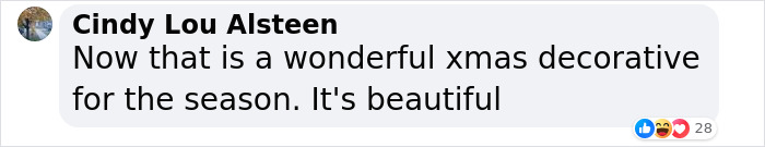 Experts React To Jill Biden And Melania Trump&rsquo;s Dramatically Different White House Christmas Decor