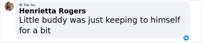 &ldquo;Brilliant Work&rdquo;: Shimmering Mole Rediscovered Nearly 100 Years After It Was Presumed Extinct