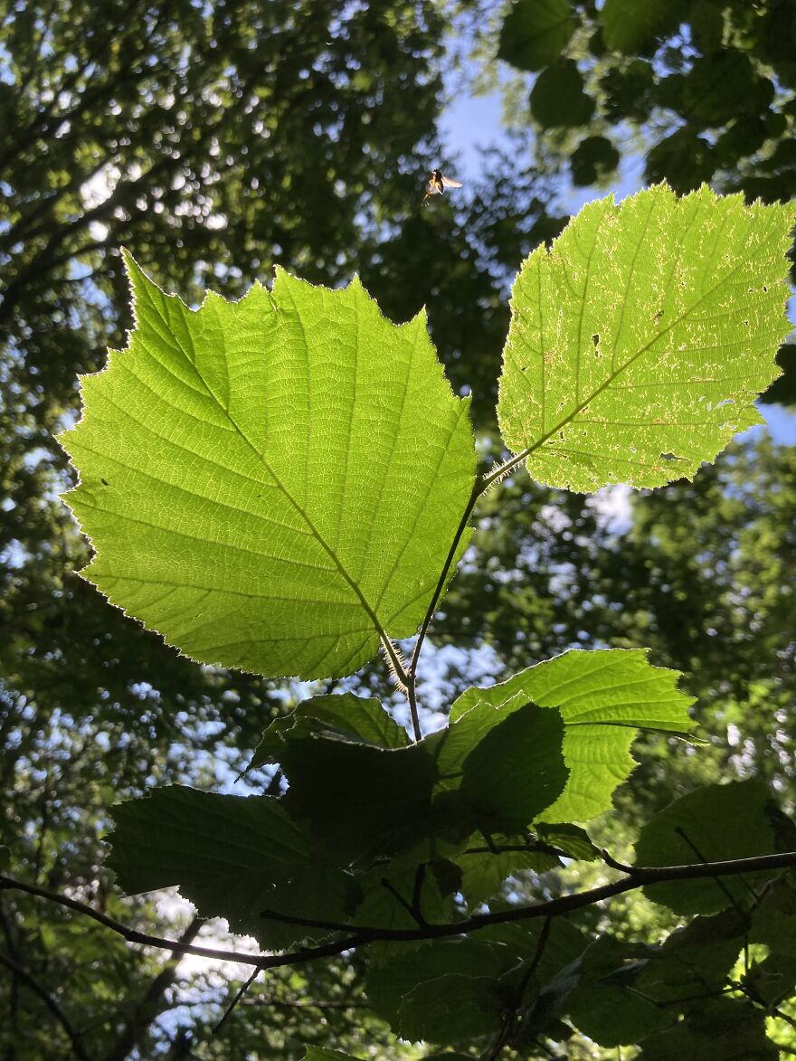 My Phone Photography Tips (33 Pics) My Phone Photography Tips (33 Pics)