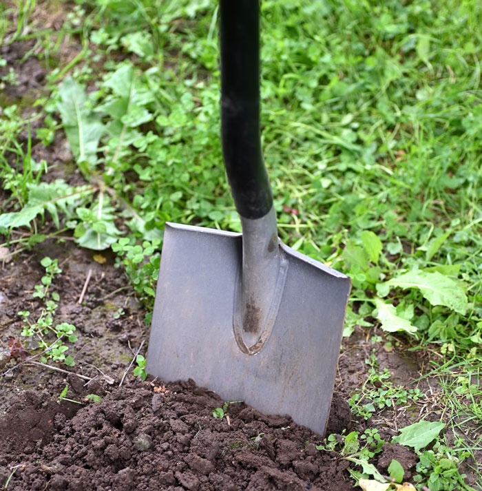 “What Is Suspicious To Own But Not Illegal?”: 30 People Share What Makes Them Feel Criminal