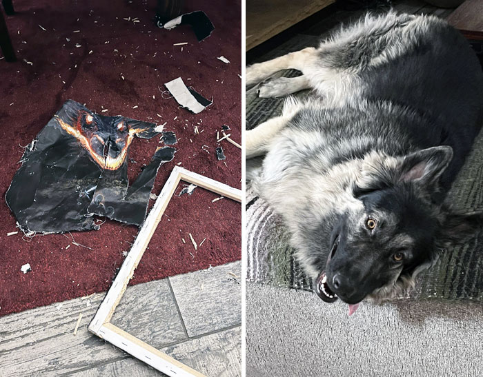 My Dog Ate My Artwork