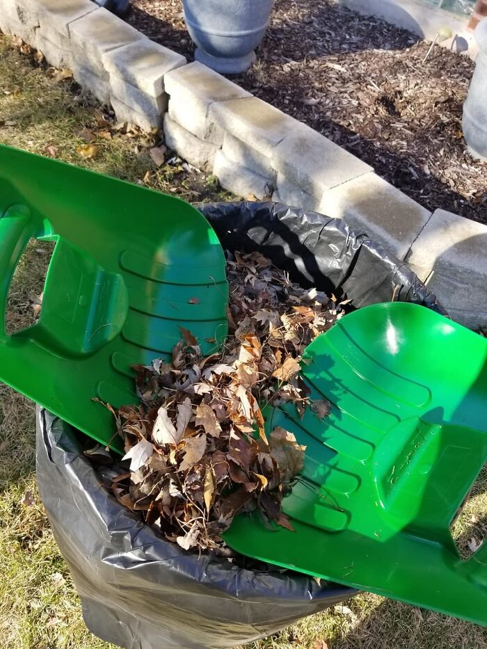 Green leaf scoops filled with leaves, an unconventional gift idea for friends.