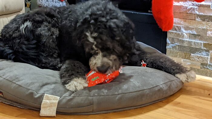 Watson Has Been Good!