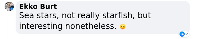 Scientists Discover “Very Weird” Truth About Starfish Heads, Solving Centuries-Old Mystery Scientists Discover “Very Weird” Truth About Starfish Heads, Solving Centuries-Old Mystery