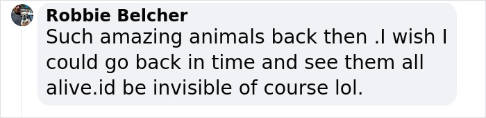 Scientists Bring Wooly Rhinoceros Back To Life With The Help of Prehistoric Fecal Matter