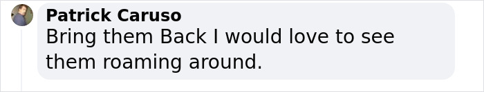 Scientists Bring Wooly Rhinoceros Back To Life With The Help of Prehistoric Fecal Matter