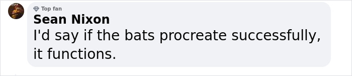 These Bats&rsquo; Tools Are Too Big To Reproduce Like Other Mammals, Scientists Find Out How They Do It