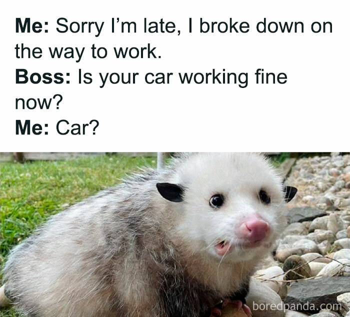 Painfully-Relatable-Work-Memes