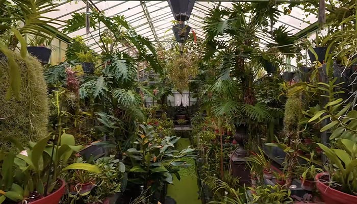 “This Is Just Next-Level”: The World’s Most Expensive House Worth 10-Figure Price Baffles People “This Is Just Next-Level”: The World’s Most Expensive House Worth 10-Figure Price Baffles People