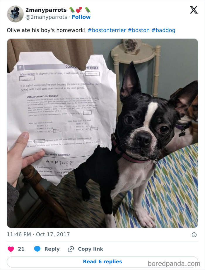 Well, We Have Evidence. The Teacher Will Believe It