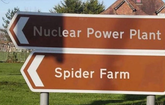 Planta nuclear / Granja de arañas