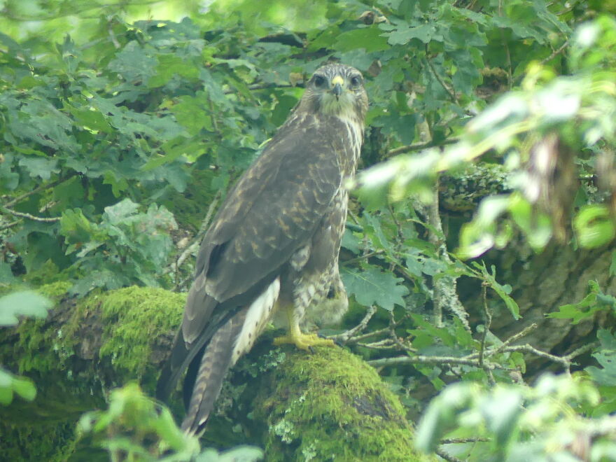 My Phone Photography Tips (33 Pics) My Phone Photography Tips (33 Pics)