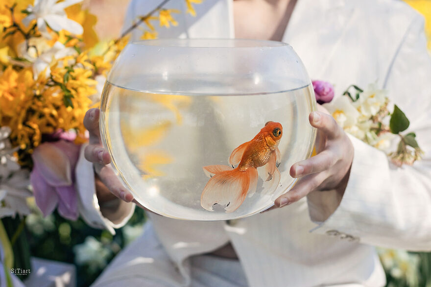 Love Speaks: The Cycle Of 12 Works